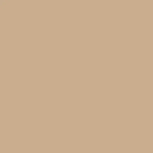 Краска Swiss Lake цвет Bronze Sand NC21-0345 