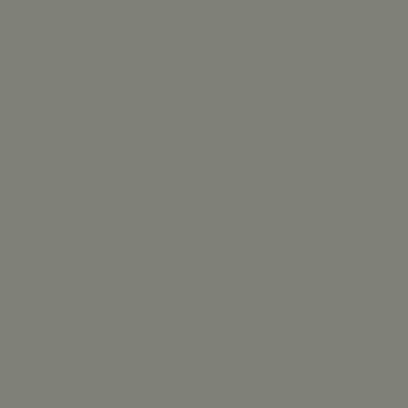 Краска Little Greene цвет Concrete grey RAL 7023 